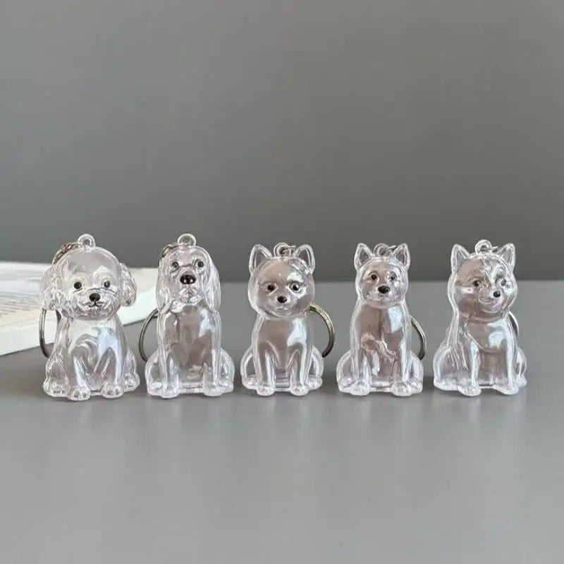 Cápsula de recuerdo de pelo de perro transparente, bolsa elegante, colgante, almacenamiento único, regalo, decoración conmemorativa