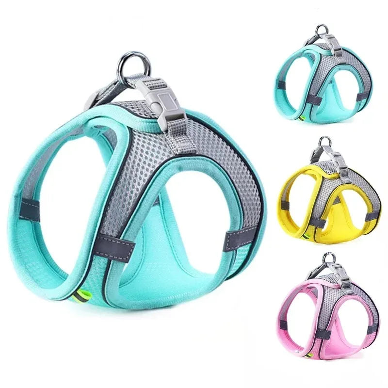 Arnés para Perros y Gatos, Conjunto de Arnés y Correa para el Pecho, Reflectante, Transpirable y Ajustable, para Perros Pequeños y Medianos, para Paseos al Aire Libre