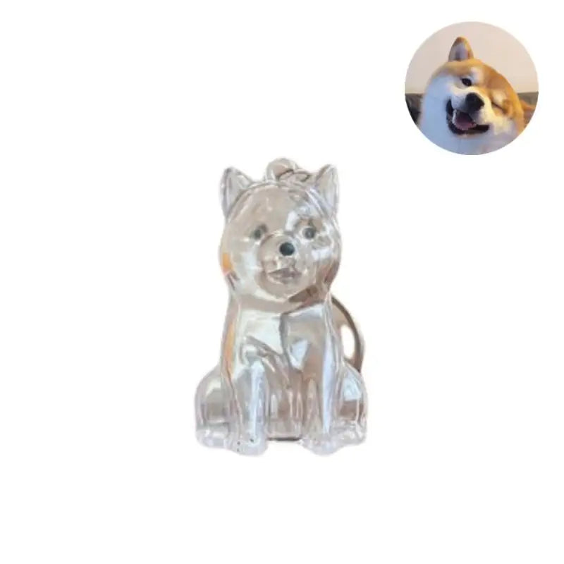 Cápsula de recuerdo de pelo de perro transparente, bolsa elegante, colgante, almacenamiento único, regalo, decoración conmemorativa