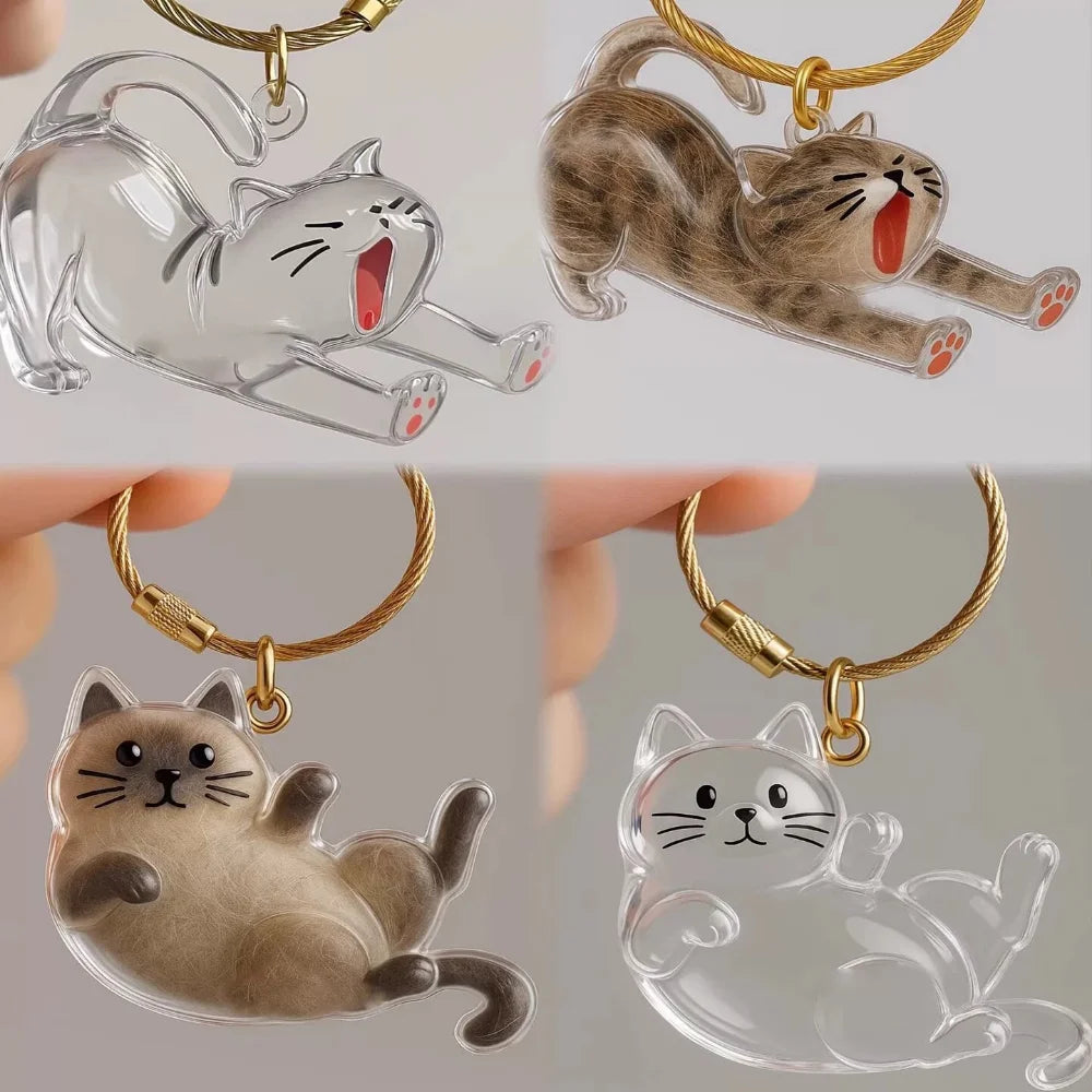 Nueva caja de almacenamiento de pelo de gato transparente, decoración de pelo de perro y gato, bolsa de cápsula, llavero, colgante, conmemoración de mascotas