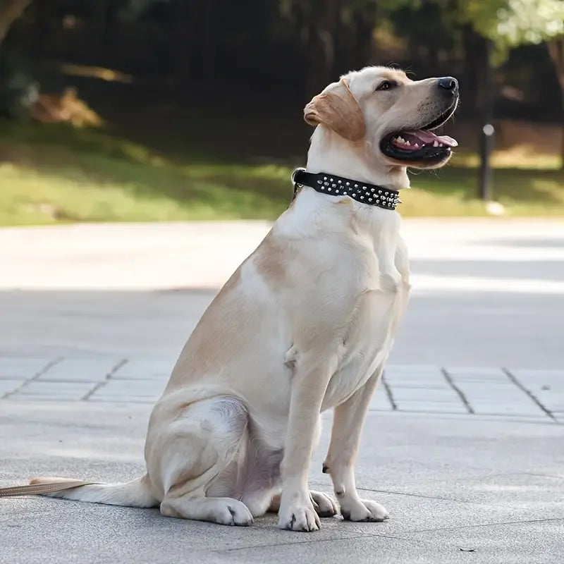 Juego de Collar y correa para perro con pinchos, Collar de perro de cuero con remaches, Collar ajustable para caminar al aire libre