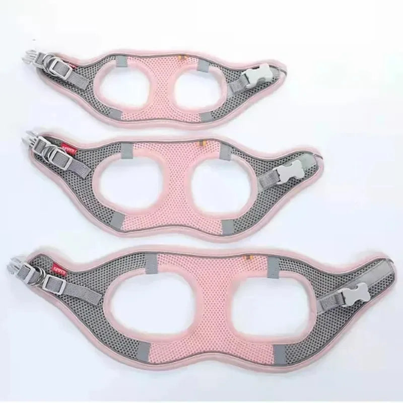 Arnés para Perros y Gatos, Conjunto de Arnés y Correa para el Pecho, Reflectante, Transpirable y Ajustable, para Perros Pequeños y Medianos, para Paseos al Aire Libre