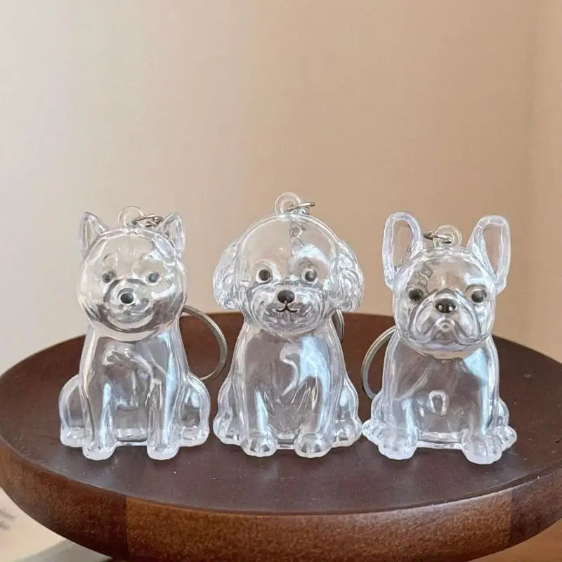 Cápsula de recuerdo de pelo de perro transparente, bolsa elegante, colgante, almacenamiento único, regalo, decoración conmemorativa