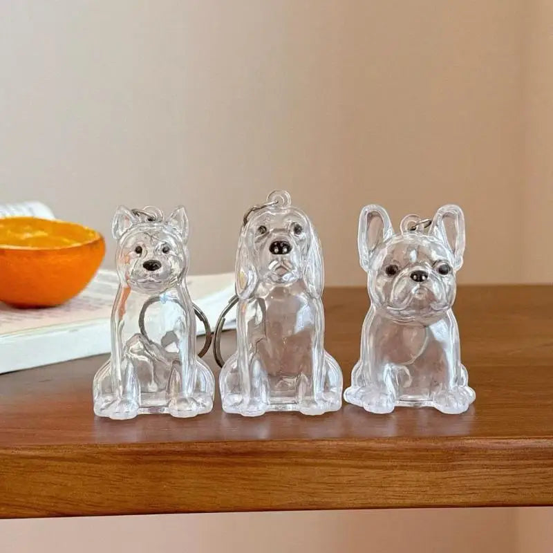Cápsula de recuerdo de pelo de perro transparente, bolsa elegante, colgante, almacenamiento único, regalo, decoración conmemorativa