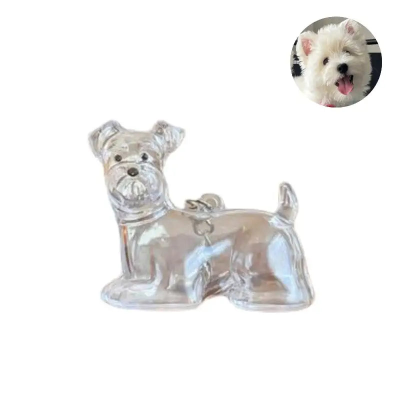 Cápsula de recuerdo de pelo de perro transparente, bolsa elegante, colgante, almacenamiento único, regalo, decoración conmemorativa