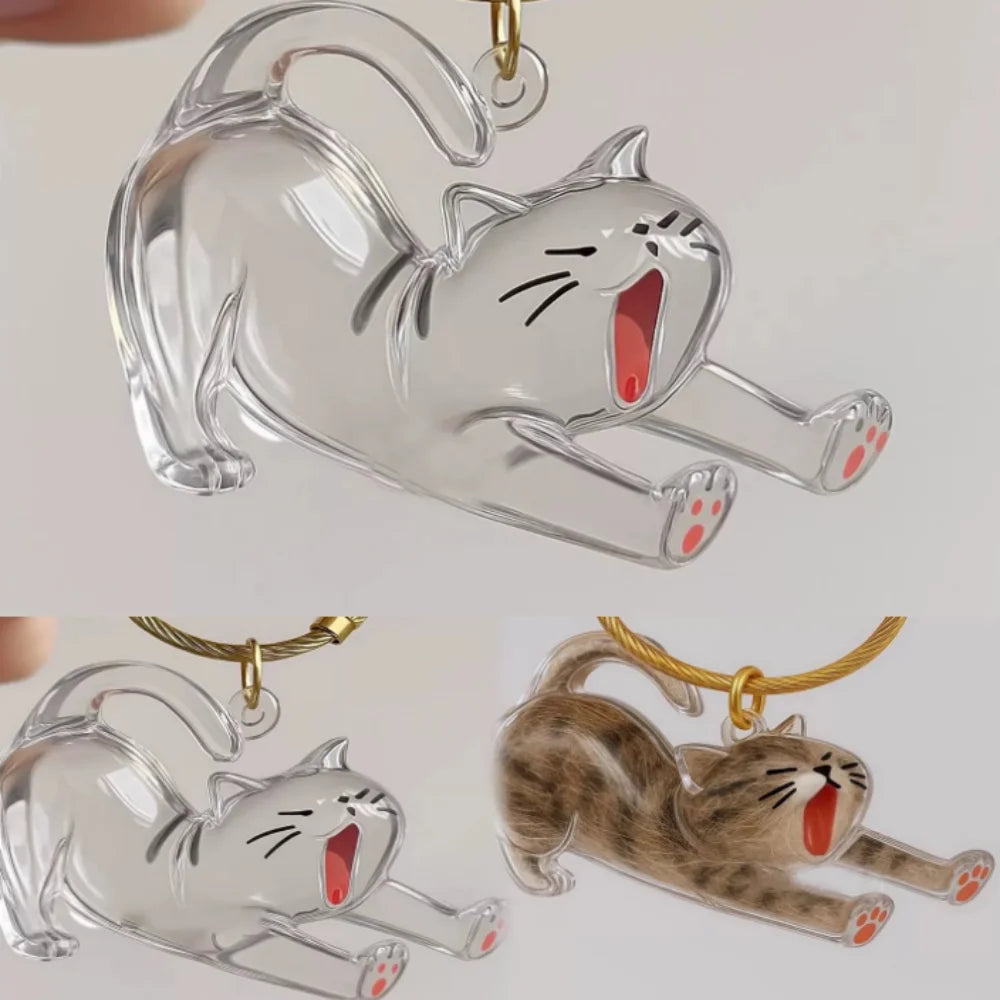 Nueva caja de almacenamiento de pelo de gato transparente, decoración de pelo de perro y gato, bolsa de cápsula, llavero, colgante, conmemoración de mascotas