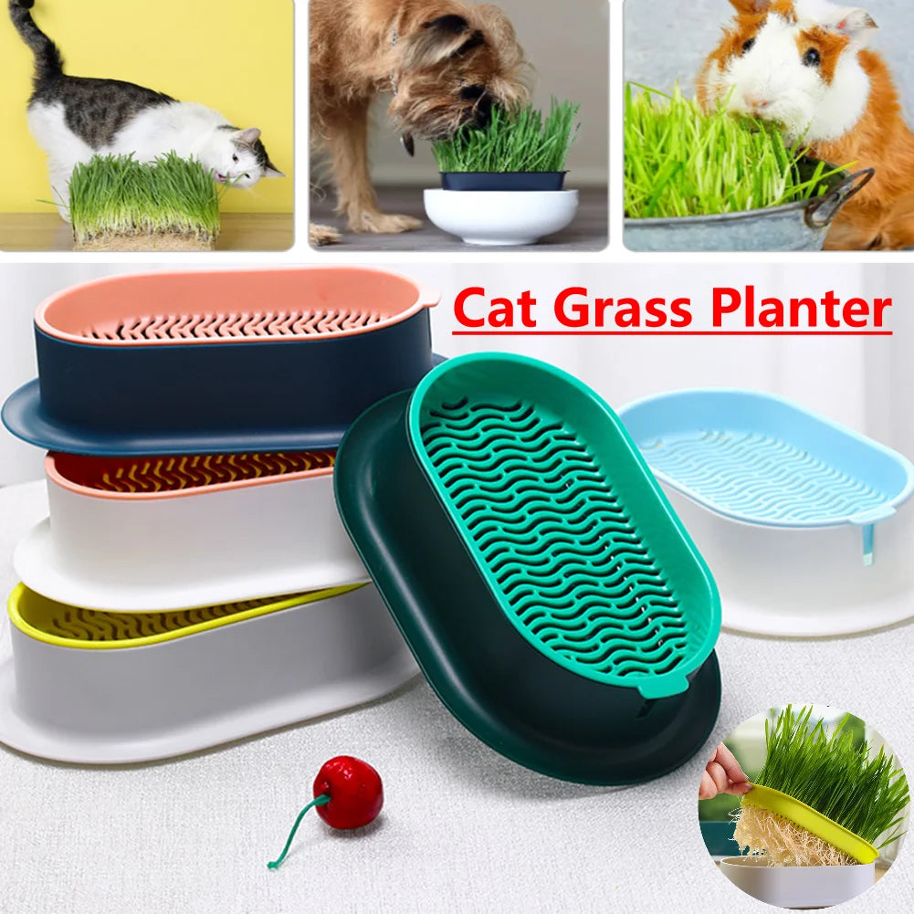 Caja de plantación para vivero de plantas, gatos, hierba, platos, invernadero, caja de cultivo, hidropónico Rectangular para jardín, recipiente para plantar, macetas