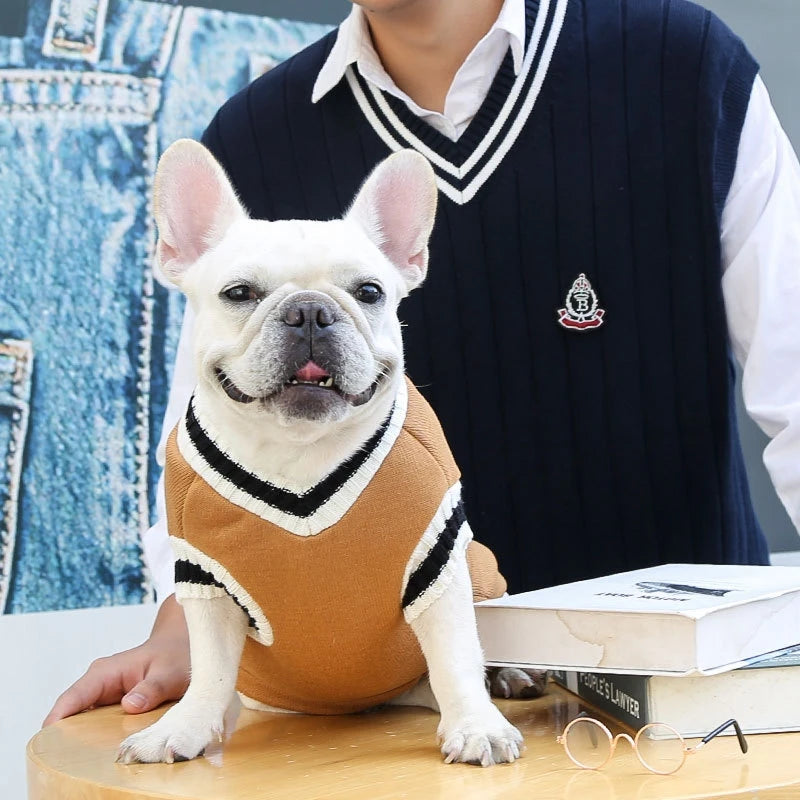 Suéter de moda para perros, ropa cálida de invierno para perros pequeños y medianos, suéter para gatos de estilo universitario, jersey para cachorros, ropa para perros Chihuahua