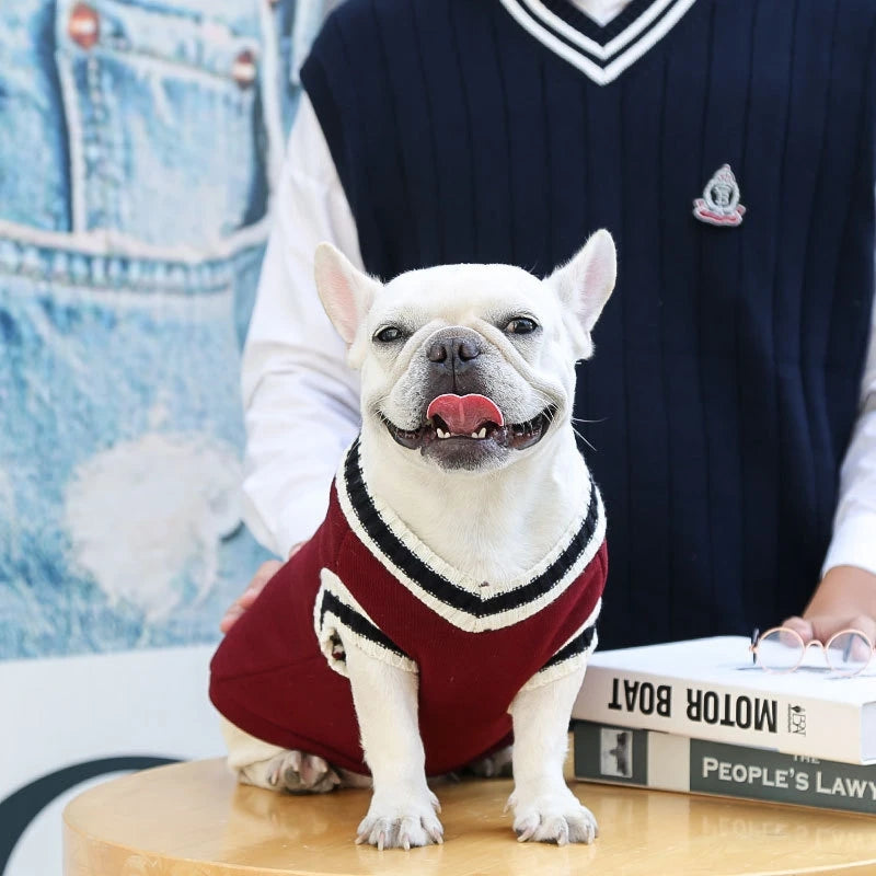 Suéter de moda para perros, ropa cálida de invierno para perros pequeños y medianos, suéter para gatos de estilo universitario, jersey para cachorros, ropa para perros Chihuahua