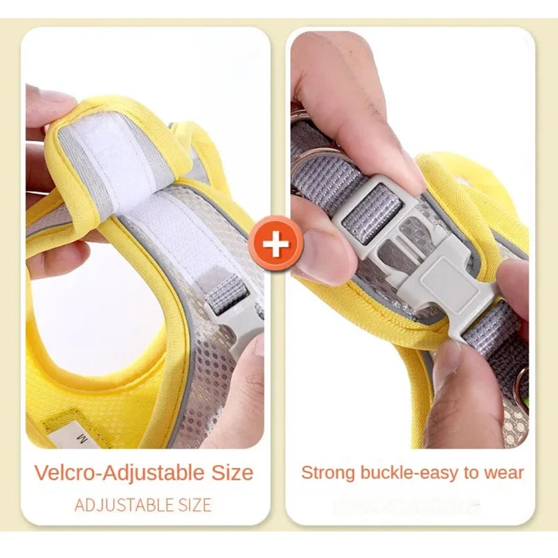 Arnés para Perros y Gatos, Conjunto de Arnés y Correa para el Pecho, Reflectante, Transpirable y Ajustable, para Perros Pequeños y Medianos, para Paseos al Aire Libre