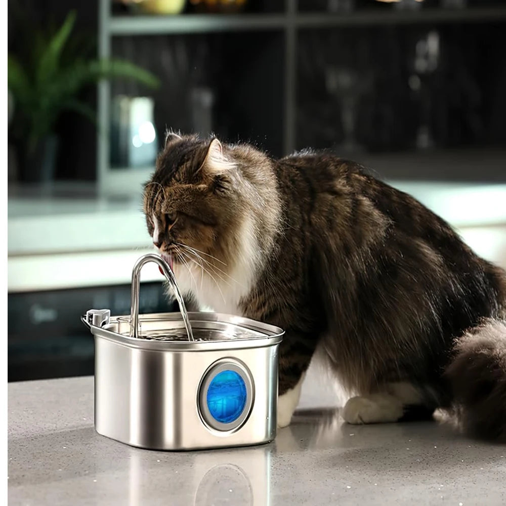 ZYFeeder Fuente de agua automática para gatos de 2,2 L, alimentador de agua cuadrado de acero inoxidable para mascotas, fuente de agua para perros con ventana (sin enchufe de 5 V 1 A)