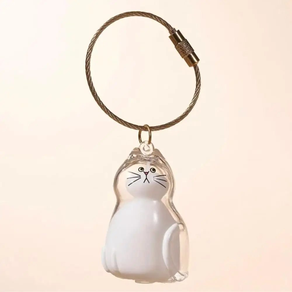 Nueva caja de almacenamiento de pelo de gato transparente, decoración de pelo de perro y gato, bolsa de cápsula, llavero, colgante, conmemoración de mascotas