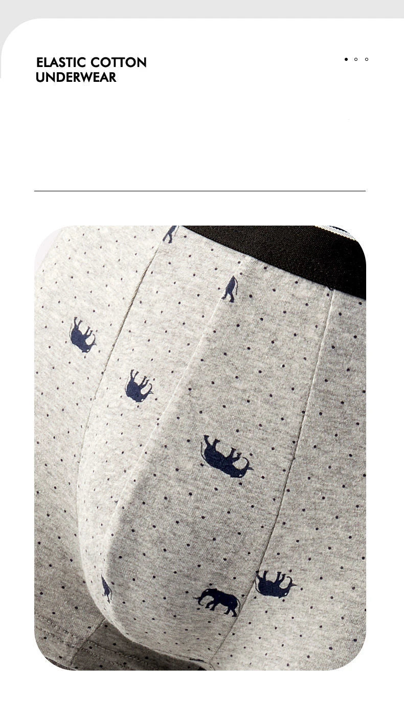 Calzoncillos de algodón para hombre, ropa interior Sexy, transpirable, de marca, 4 piezas