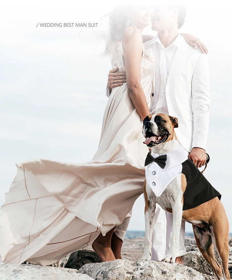 Esmoquin para perro y conjunto de Bandana, traje de fiesta de boda, camisa Formal de pajarita para perro y Príncipe