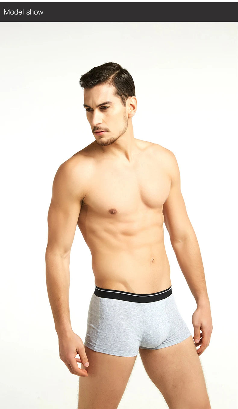 Calzoncillos de algodón para hombre, ropa interior Sexy, transpirable, de marca, 4 piezas