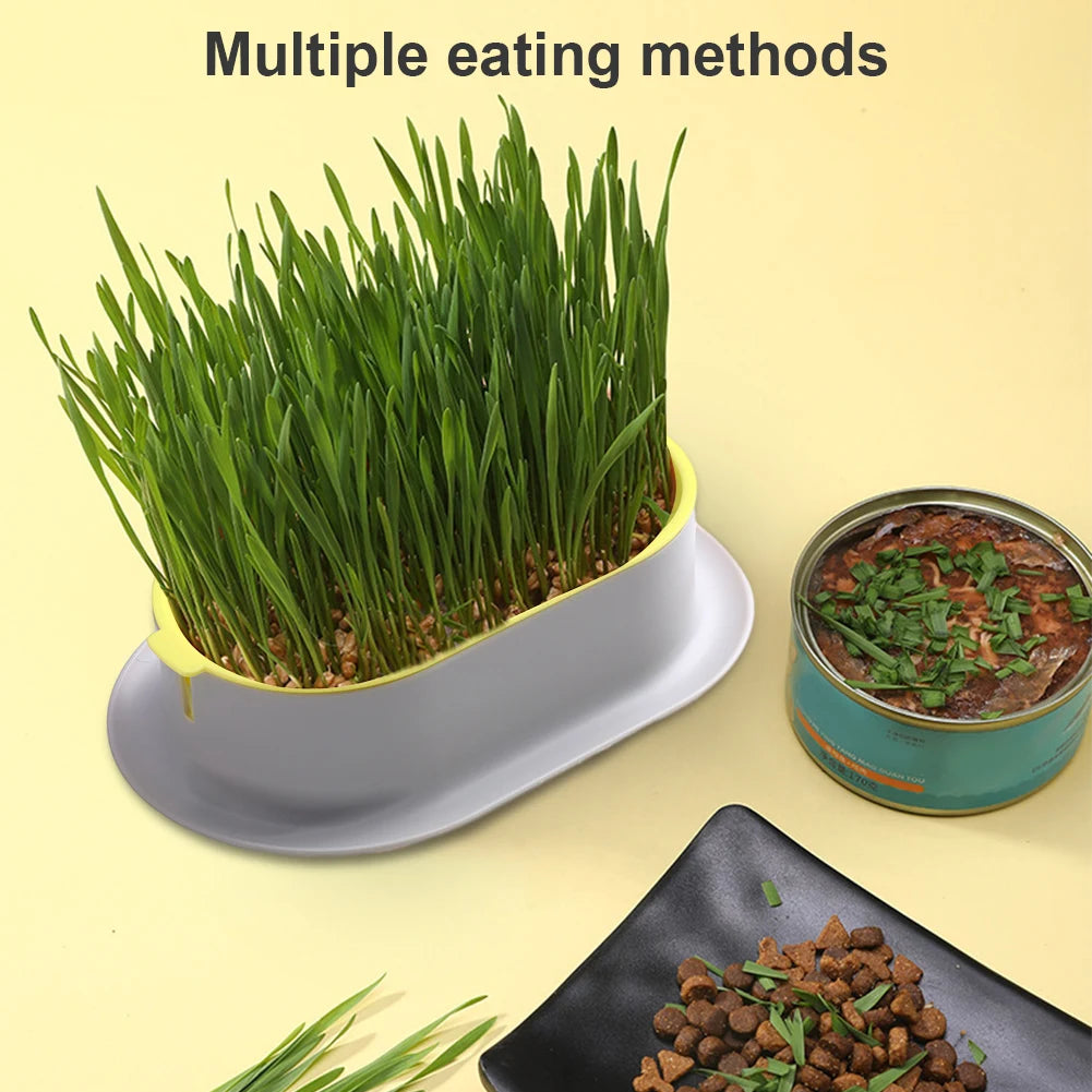 Caja de plantación para vivero de plantas, gatos, hierba, platos, invernadero, caja de cultivo, hidropónico Rectangular para jardín, recipiente para plantar, macetas