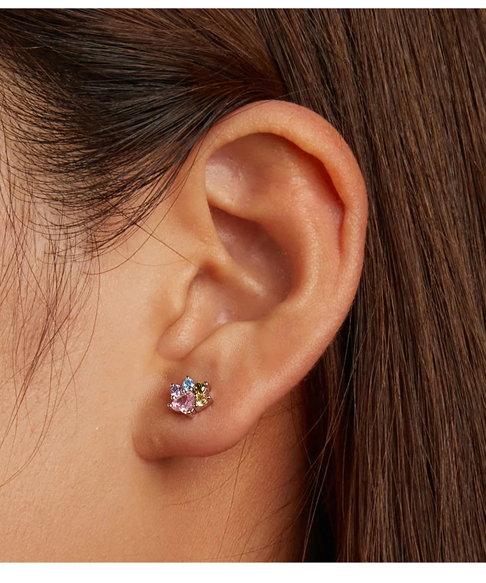 WOSTU-pendientes de plata de ley 925 con diseño de animales y patas bonitas de arcoíris para mujer, aretes con forma de corazón, flor ovalada, circonita, cangrejo, regalo de joyería