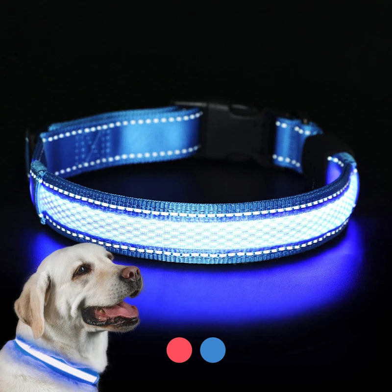 Benepaw-Collar de perro LED recargable por USB, cómodo, reflectante, brillante, brillante, para perros pequeños, medianos y grandes