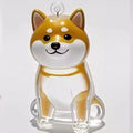 Nueva caja de almacenamiento de pelo de gato transparente, decoración de pelo de perro y gato, bolsa de cápsula, llavero, colgante, conmemoración de mascotas
