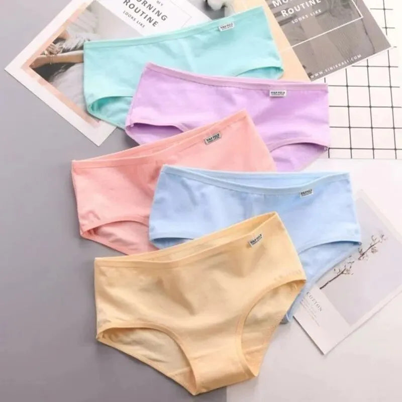 Bragas de talla grande para mujer, ropa interior de algodón suave, lencería Sexy, 7 unidades por lote
