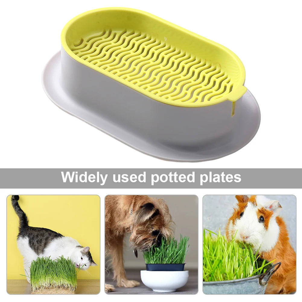 Caja de plantación para vivero de plantas, gatos, hierba, platos, invernadero, caja de cultivo, hidropónico Rectangular para jardín, recipiente para plantar, macetas