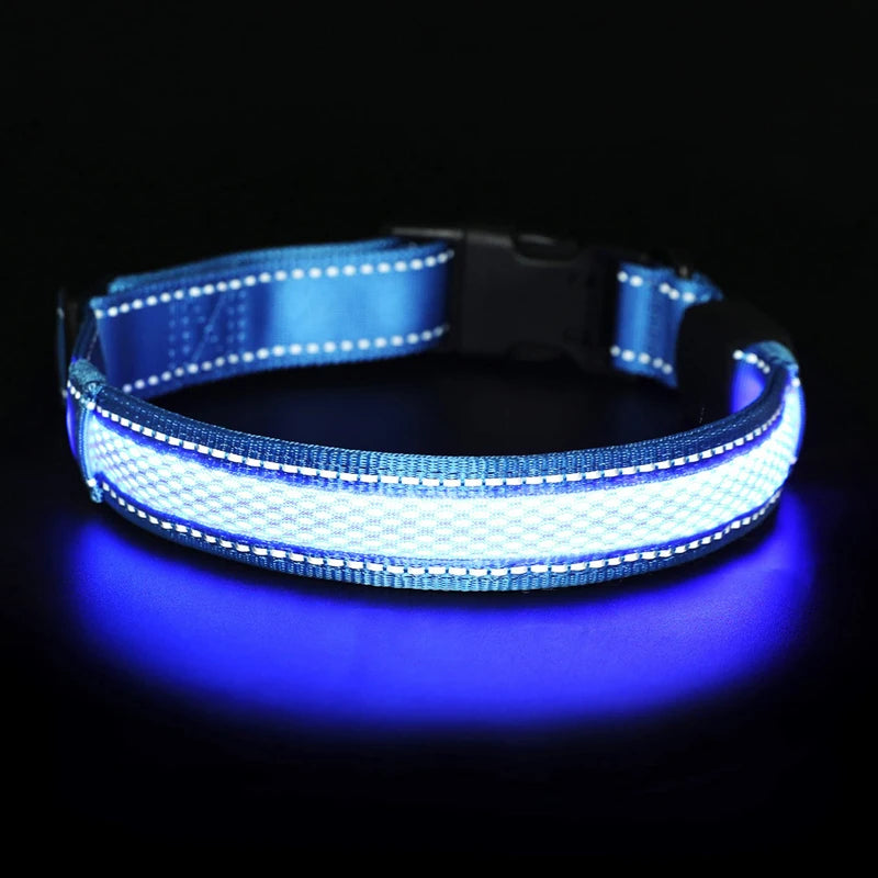 Benepaw-Collar de perro LED recargable por USB, cómodo, reflectante, brillante, brillante, para perros pequeños, medianos y grandes