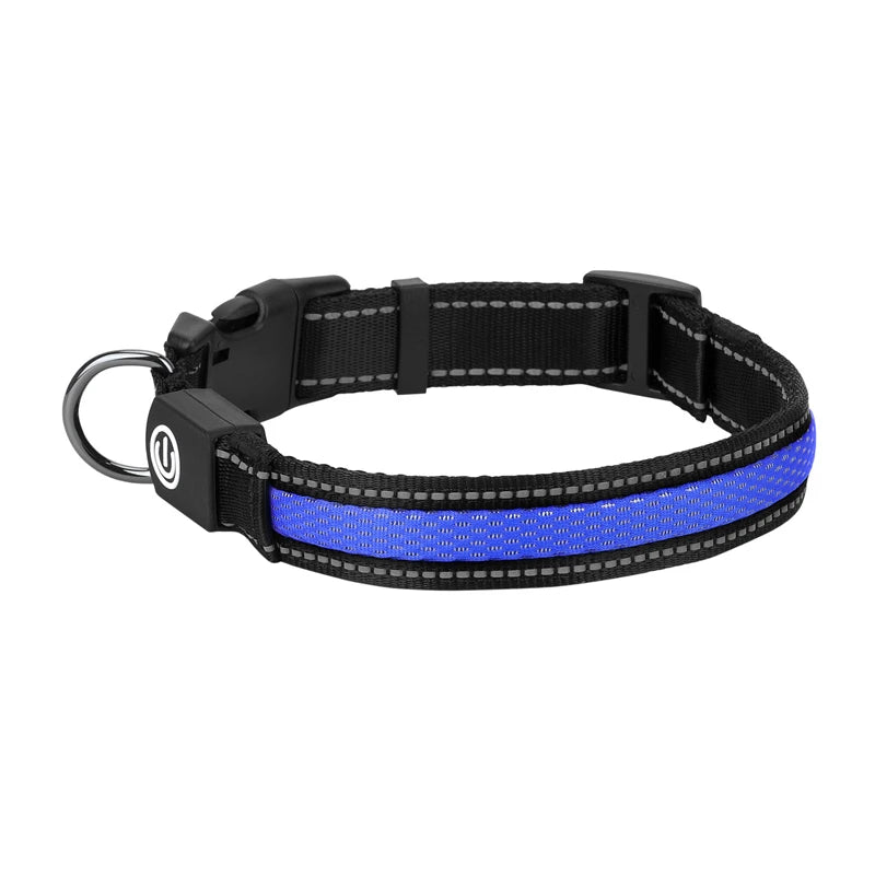 Benepaw-Collar de perro LED recargable por USB, cómodo, reflectante, brillante, brillante, para perros pequeños, medianos y grandes