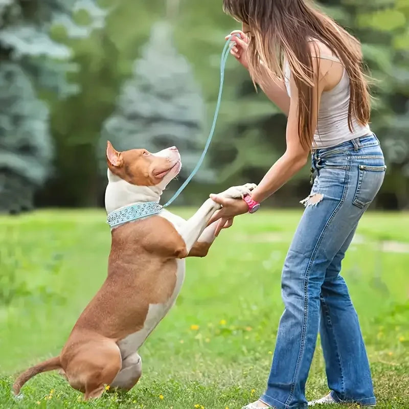 Juego de Collar y correa para perro con pinchos, Collar de perro de cuero con remaches, Collar ajustable para caminar al aire libre