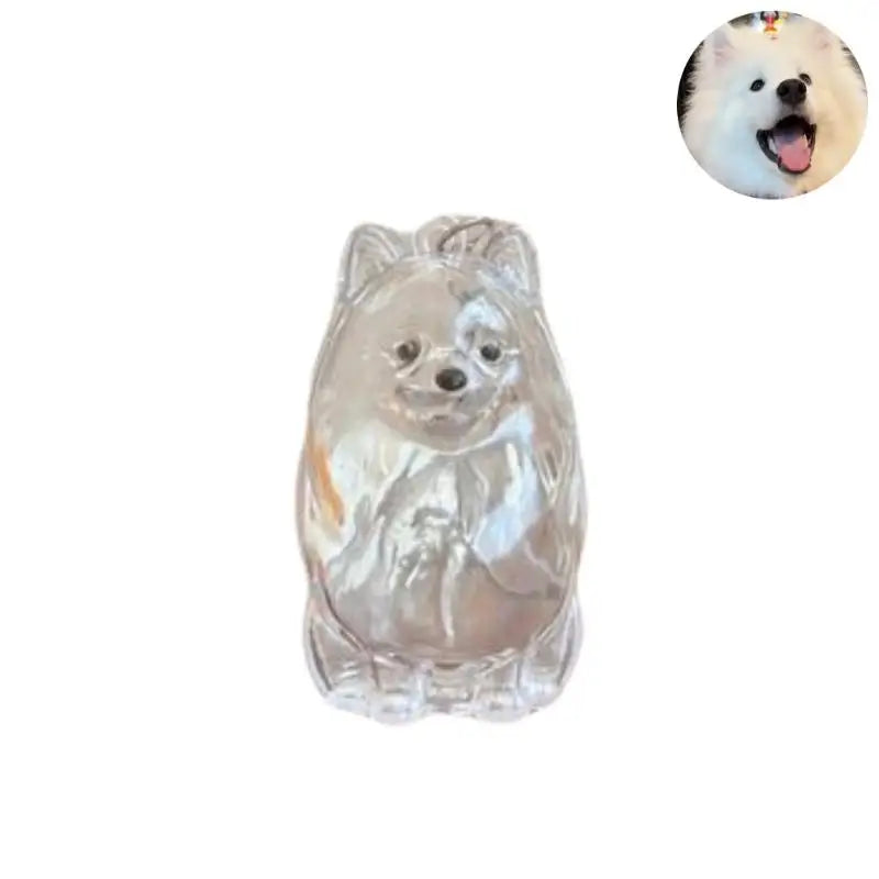 Cápsula de recuerdo de pelo de perro transparente, bolsa elegante, colgante, almacenamiento único, regalo, decoración conmemorativa