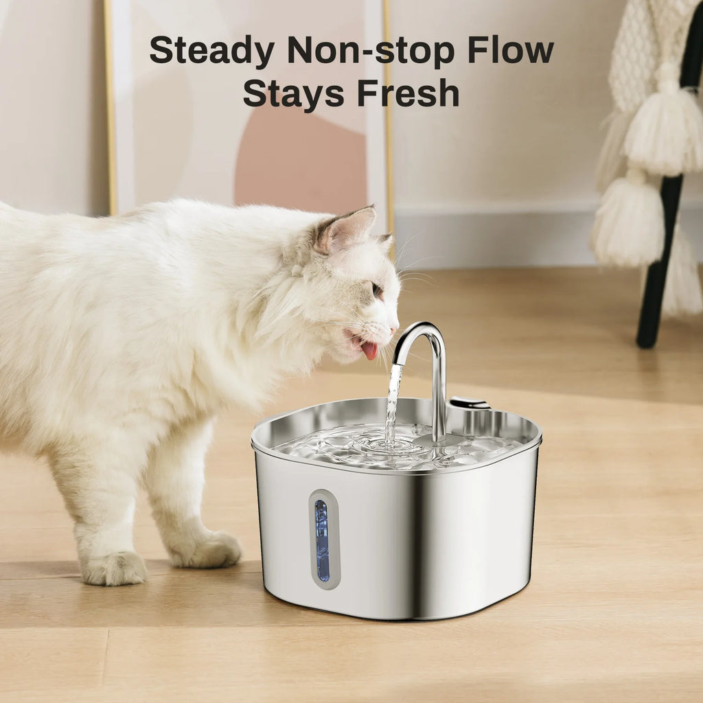 ZYFeeder Fuente de agua automática para gatos de 2,2 L, alimentador de agua cuadrado de acero inoxidable para mascotas, fuente de agua para perros con ventana (sin enchufe de 5 V 1 A)