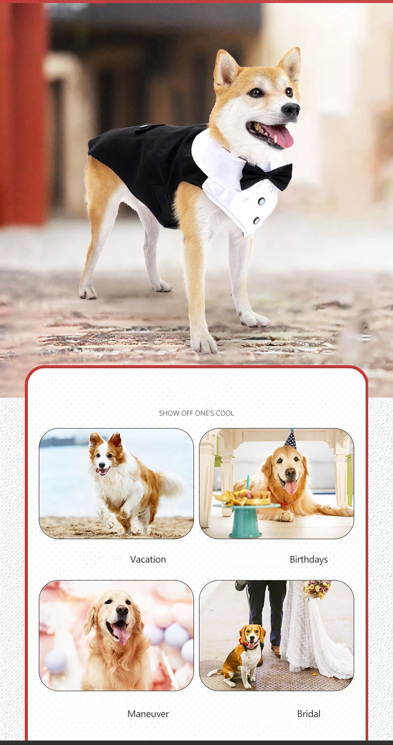 Esmoquin para perro y conjunto de Bandana, traje de fiesta de boda, camisa Formal de pajarita para perro y Príncipe
