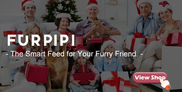 Alimentador automático para gatos, cámara inteligente para mascotas, dispensador de comida para gatos, 2,4G/5GWiFi, Control por aplicación Tuya, alimentador automático para accesorios para perros y gatos