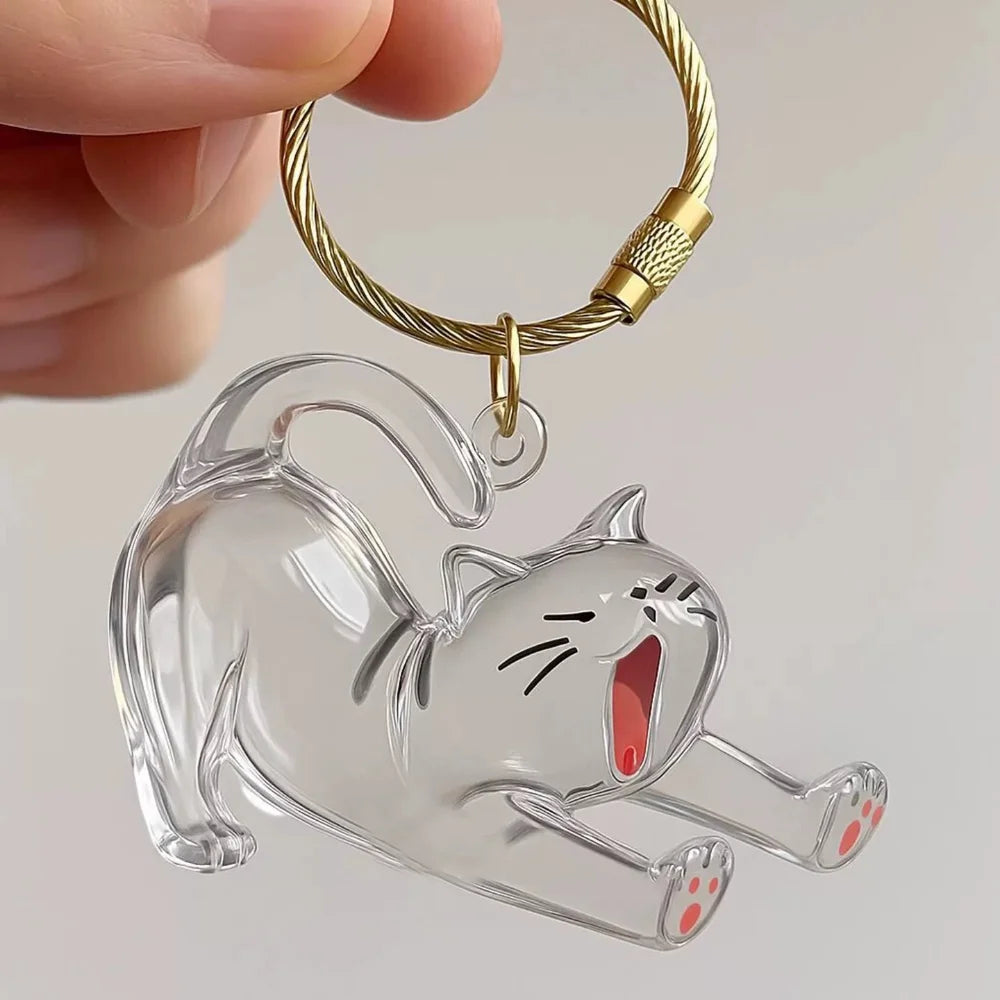 Nueva caja de almacenamiento de pelo de gato transparente, decoración de pelo de perro y gato, bolsa de cápsula, llavero, colgante, conmemoración de mascotas