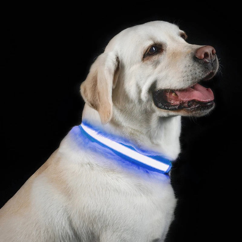 Benepaw-Collar de perro LED recargable por USB, cómodo, reflectante, brillante, brillante, para perros pequeños, medianos y grandes