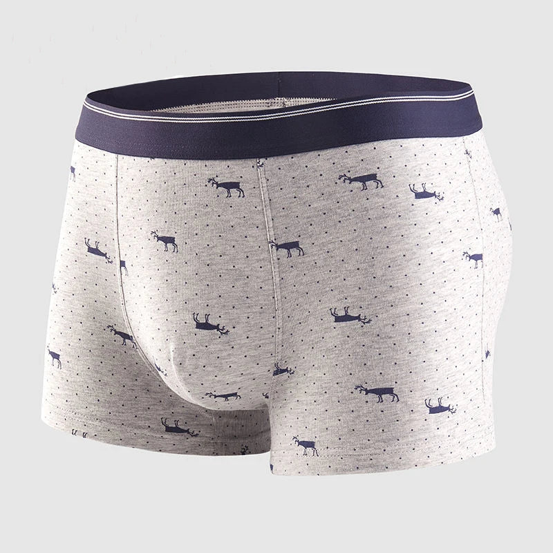 Calzoncillos de algodón para hombre, ropa interior Sexy, transpirable, de marca, 4 piezas