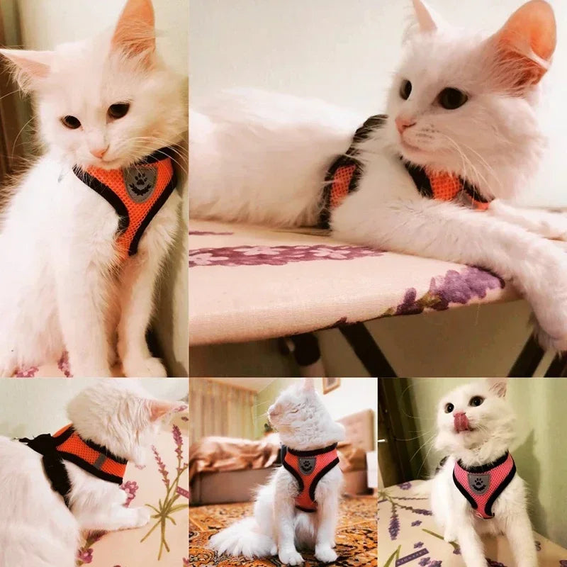 Arnés tipo chaleco para gatos, correa para pasear, collar para cachorros, arnés de malla ajustable de poliéster para perros pequeños y medianos, accesorios para mascotas
