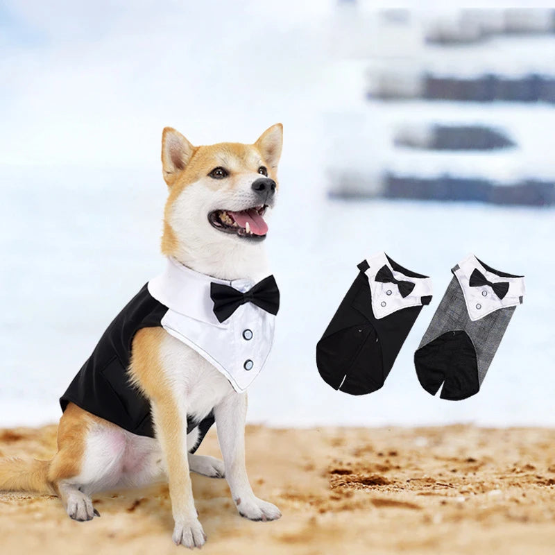 Esmoquin para perro y conjunto de Bandana, traje de fiesta de boda, camisa Formal de pajarita para perro y Príncipe