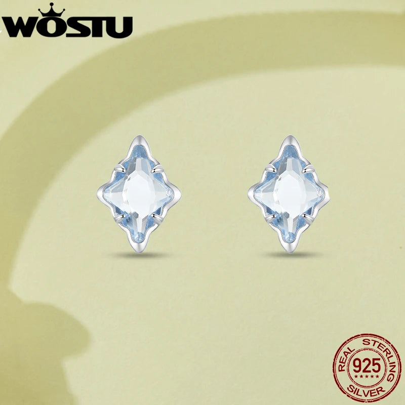 WOSTU-pendientes de plata de ley 925 con diseño de animales y patas bonitas de arcoíris para mujer, aretes con forma de corazón, flor ovalada, circonita, cangrejo, regalo de joyería