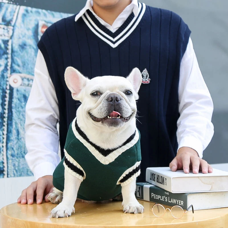 Suéter de moda para perros, ropa cálida de invierno para perros pequeños y medianos, suéter para gatos de estilo universitario, jersey para cachorros, ropa para perros Chihuahua