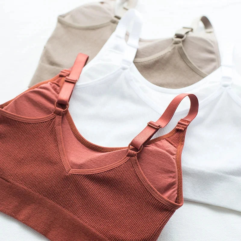 Ropa interior Sexy para mujer, lencería sin anillo de acero, sujetador, Top de tubo envuelto en el pecho, belleza en la espalda, Top de tubo de sección delgada de algodón activo